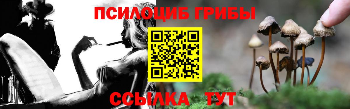 Гуково  Псилоцибиновые грибы Cubensis  Вход с VPN 
